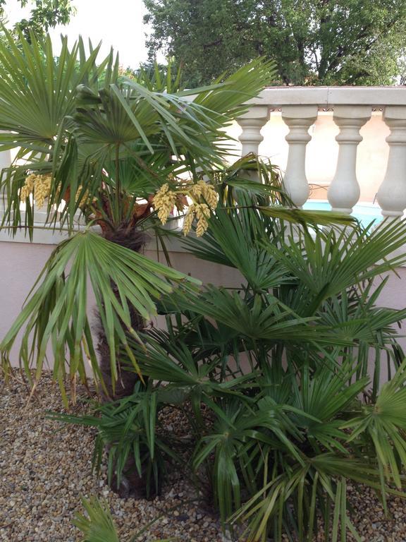 Villa Clairelou Pertuis Ngoại thất bức ảnh
